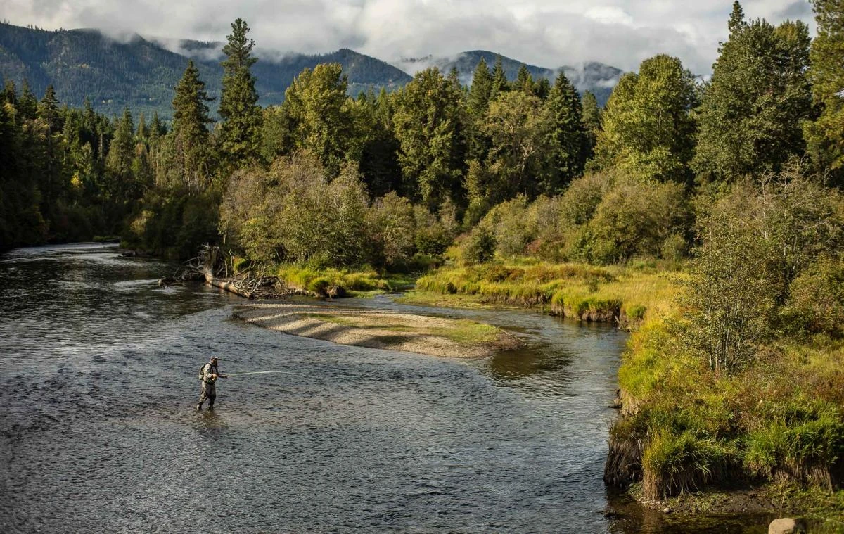 Sage Sonic Fly Rod 7 Sage Sonic Fly Rod - Image 6