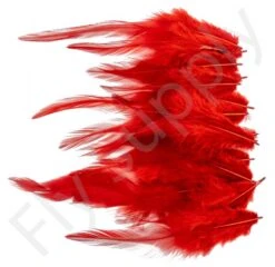 Small Streamer Saddle Feathers 18pc -Fishing Specialty Store Small Streamer Saddle Feathers 18pc SSSADSM X dsc01596 bewerkt wm