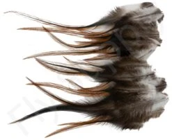 Small Streamer Saddle Feathers 18pc -Fishing Specialty Store Small Streamer Saddle Feathers 18pc SSSADSM X dsc01605 bewerkt wm