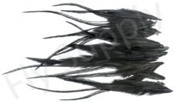 Small Streamer Saddle Feathers 18pc -Fishing Specialty Store Small Streamer Saddle Feathers 18pc SSSADSM X dsc01608 bewerkt wm