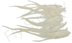 Small Streamer Saddle Feathers 18pc -Fishing Specialty Store Small Streamer Saddle Feathers 18pc SSSADSM X dsc01611 bewerkt wm