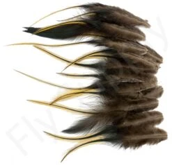 Small Streamer Saddle Feathers 18pc -Fishing Specialty Store Small Streamer Saddle Feathers 18pc SSSADSM X dsc01616 bewerkt wm