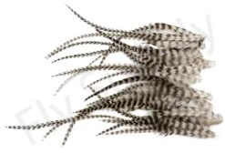 Small Streamer Saddle Feathers 18pc -Fishing Specialty Store Small Streamer Saddle Feathers 18pc SSSADSM X dsc01620 bewerkt wm