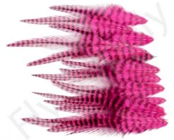 Small Streamer Saddle Feathers 18pc -Fishing Specialty Store Small Streamer Saddle Feathers 18pc SSSADSM X dsc01622 bewerkt wm