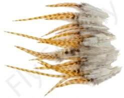 Small Streamer Saddle Feathers 18pc -Fishing Specialty Store Small Streamer Saddle Feathers 18pc SSSADSM X dsc01626 bewerkt wm