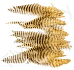 Small Streamer Saddle Feathers 18pc -Fishing Specialty Store Small Streamer Saddle Feathers 18pc SSSADSM X dsc01629 bewerkt wm