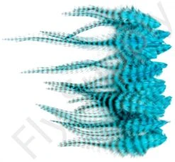 Small Streamer Saddle Feathers 18pc -Fishing Specialty Store Small Streamer Saddle Feathers 18pc SSSADSM X dsc01632 bewerkt wm