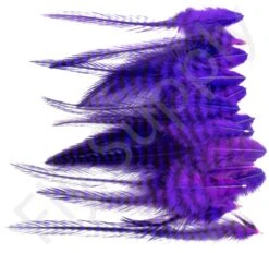 Small Streamer Saddle Feathers 18pc -Fishing Specialty Store Small Streamer Saddle Feathers 18pc SSSADSM X dsc01638 bewerkt wm