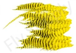 Small Streamer Saddle Feathers 18pc -Fishing Specialty Store Small Streamer Saddle Feathers 18pc SSSADSM X dsc01640 bewerkt wm