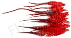 Small Streamer Saddle Feathers 18pc -Fishing Specialty Store Small Streamer Saddle Feathers 18pc SSSADSM X dsc01644 bewerkt wm