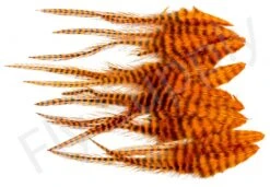 Small Streamer Saddle Feathers 18pc -Fishing Specialty Store Small Streamer Saddle Feathers 18pc SSSADSM X dsc01647 bewerkt wm