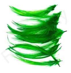 Small Streamer Saddle Feathers 18pc -Fishing Specialty Store Small Streamer Saddle Feathers 18pc SSSADSM X dsc08751