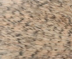 Whiting Spey Hackles Select 20pc -Fishing Specialty Store Spey20Saddles20Select203