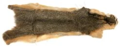 Squirrel Skin Whole -Fishing Specialty Store Squirrel Skin Whole SQRLSKIN XXX dsc05596