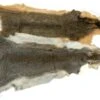Squirrel Skin Whole -Fishing Specialty Store Squirrel Skin Whole SQRLSKIN XXX dsc05597