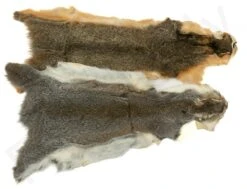 Squirrel Skin Whole