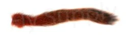 Squirrel Tails 12 Squirrel Tails -Fishing Specialty Store Squirrel tails 50 02XXX 50 02030 1