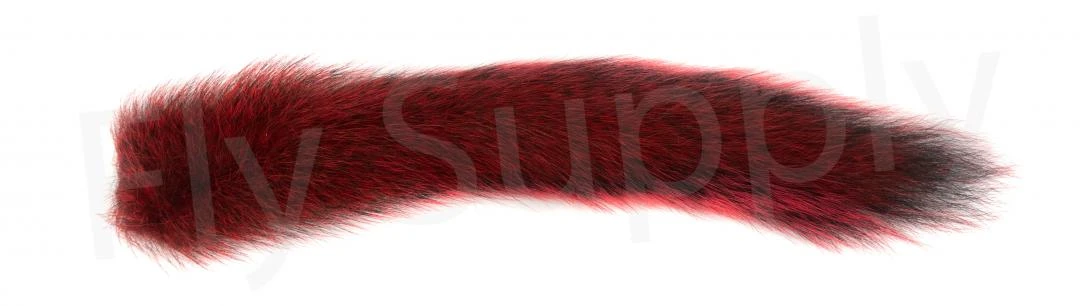 Squirrel Tails 6 Squirrel Tails - Image 4