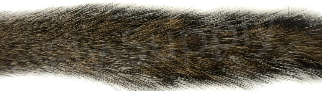 Squirrel Tails 10 Squirrel Tails - Image 8