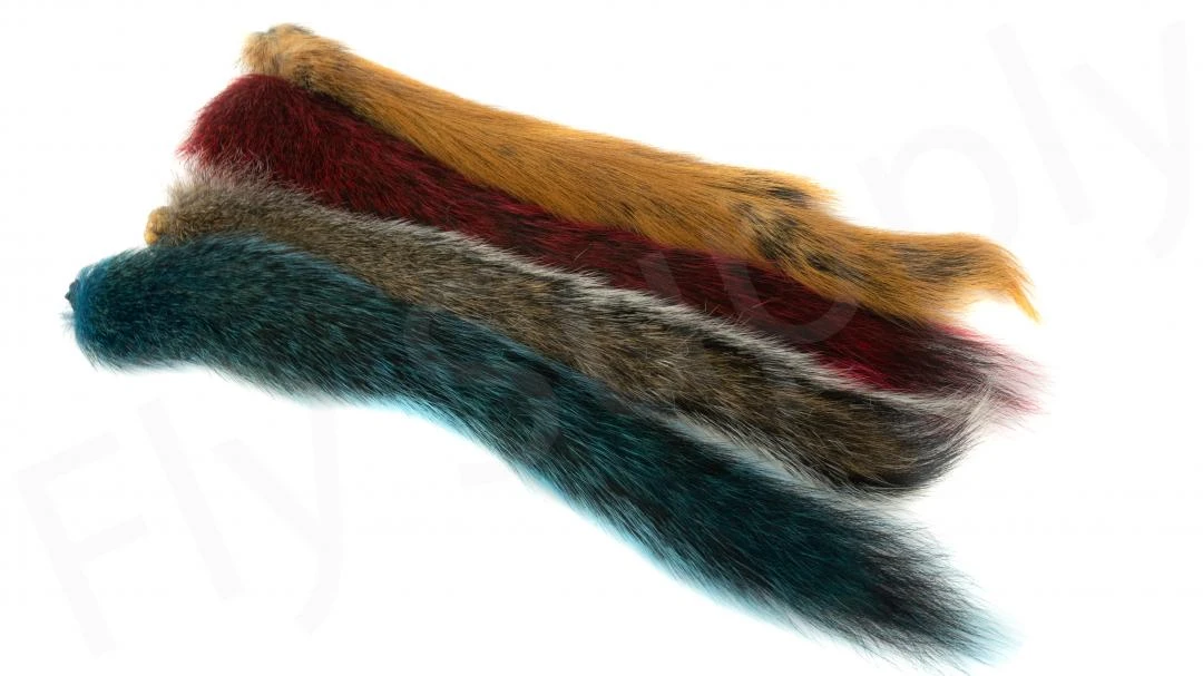 Squirrel Tails 4 Squirrel Tails - Image 2