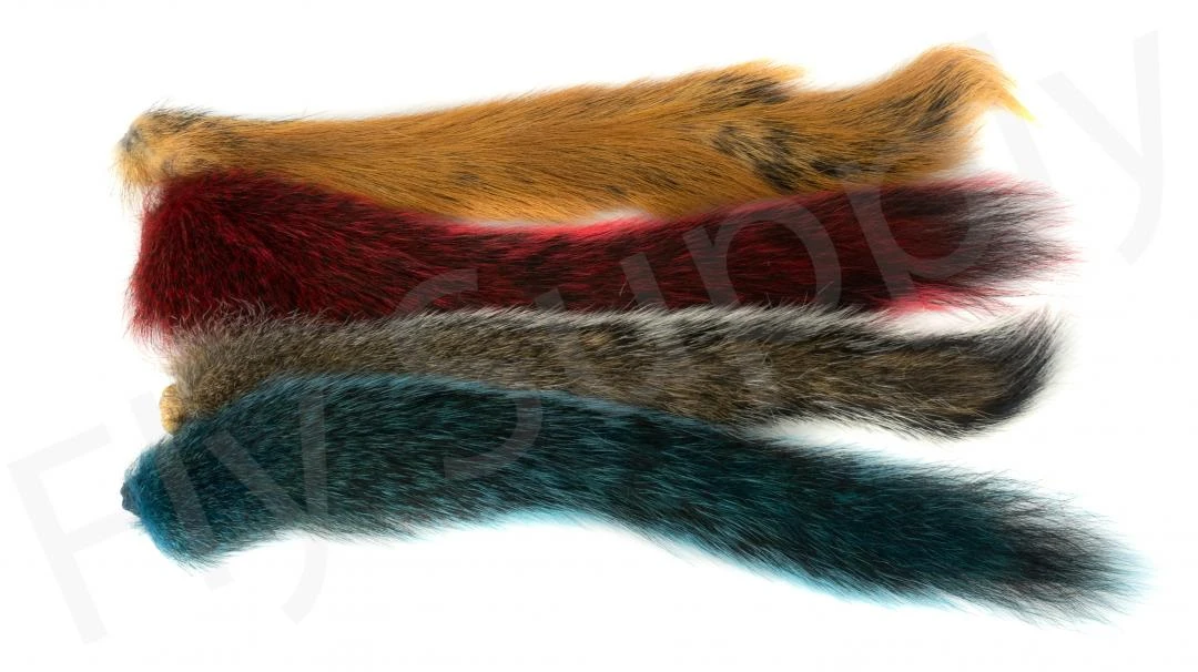 Squirrel Tails 3 Squirrel Tails