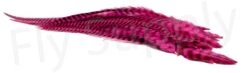 Streamer Saddle Feathers Large 18pc -Fishing Specialty Store Streamer Saddle Feathers Large 18pc STR SAD X dsc01519 bewerkt wm
