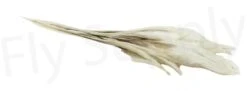 Streamer Saddle Feathers Large 18pc -Fishing Specialty Store Streamer Saddle Feathers Large 18pc STR SAD X dsc01525 bewerkt wm