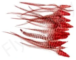 Streamer Saddle Feathers Large 18pc -Fishing Specialty Store Streamer Saddle Feathers Large 18pc STR SAD X dsc01531 bewerkt wm