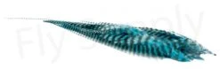 Streamer Saddle Feathers Large 18pc -Fishing Specialty Store Streamer Saddle Feathers Large 18pc STR SAD X dsc01539 bewerkt wm