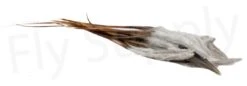 Streamer Saddle Feathers Large 18pc -Fishing Specialty Store Streamer Saddle Feathers Large 18pc STR SAD X dsc01540 bewerkt wm