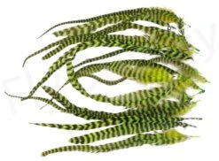 Streamer Saddle Feathers Large 18pc -Fishing Specialty Store Streamer Saddle Feathers Large 18pc STR SAD X dsc04299 bewerkt wm