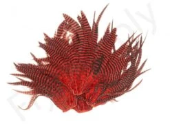 Streamer Saddle Patch Big -Fishing Specialty Store Streamer Saddle Patch Big CASC SSPB X dsc09058