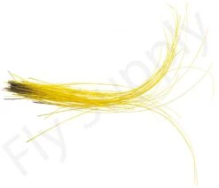 Stripped Quills 25pc -Fishing Specialty Store Stripped Quills 25pc STRIPQLLS XXX dsc03295 bewerkt 1