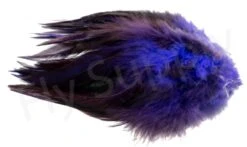 Strung Saddle Hackle -Fishing Specialty Store Strung saddle hackle 40 10XXX dsc01800 bewerkt wm