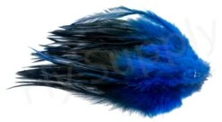 Strung Saddle Hackle -Fishing Specialty Store Strung saddle hackle 40 10XXX dsc01803 bewerkt wm