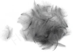 Swiss CDC Ultra Select XL Feathers -Fishing Specialty Store Swiss CDC Ultra Select XL Feathers SWSCDCUSL X ultra violet 9