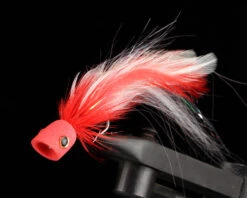 Sybai Short Popper -Fishing Specialty Store Sybai20Poppers20SHort2