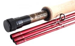 Taylor Phenom MII Fly Rod -Fishing Specialty Store Taylor Phenom MII Fly Rod NFD880 XXX phenom203