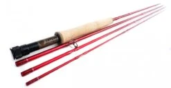 Taylor Phenom MII Fly Rod