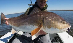 Thomas & Thomas Exocett SS Fly Rod -Fishing Specialty Store Thomas Thomas Exocett SS Fly Rod THOMAS SS XXX s4chermafbeelding 2022 10 20 om 08.47