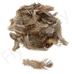 Tragopan Phesant Body Feathers 3gr -Fishing Specialty Store Tragopan Phesant Body Feathers 3gr TRAGOPANBODY XXX dsc02574 bewerkt