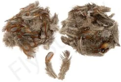 Tragopan Phesant Body Feathers 3gr