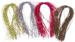 Veniard Centipede Legs Small Speckled