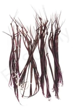 Veniard Cock Pheasant Hopper Legs -Fishing Specialty Store Veniard Cock Pheasant Hopper Legs CPHL XXX Z dsc04972 1