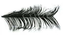 Veniard Cock Pheasant Single Knotted Tail -Fishing Specialty Store Veniard Cock Pheasant Single Knotted Tail VENCPKNOT X black