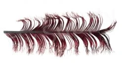 Veniard Cock Pheasant Single Knotted Tail -Fishing Specialty Store Veniard Cock Pheasant Single Knotted Tail VENCPKNOT X claret