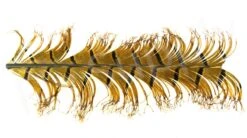 Veniard Cock Pheasant Single Knotted Tail -Fishing Specialty Store Veniard Cock Pheasant Single Knotted Tail VENCPKNOT X natural