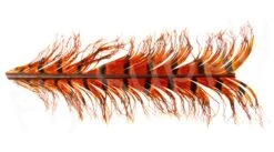 Veniard Cock Pheasant Single Knotted Tail -Fishing Specialty Store Veniard Cock Pheasant Single Knotted Tail VENCPKNOT X orange