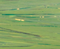 Veniard Krinkle Mirror Flash -Fishing Specialty Store Veniard Krinkle Mirror Flash KMF XXX Z dsc06616 bewerkt