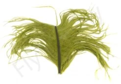 Veniard Ostrich Herl -Fishing Specialty Store Veniard Ostrich Herl OSTH XXX medium olive